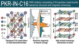 PKR-IN-C16 PKR inhibitor modulating C16 transition metal boride electronic structure and magnetic anisotropy
