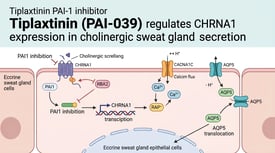 Tiplaxtinin PAI-1 inhibitor Tiplaxtinin (PAI-039) regulates CHRNA1 expression in cholinergic sweat gland secretion