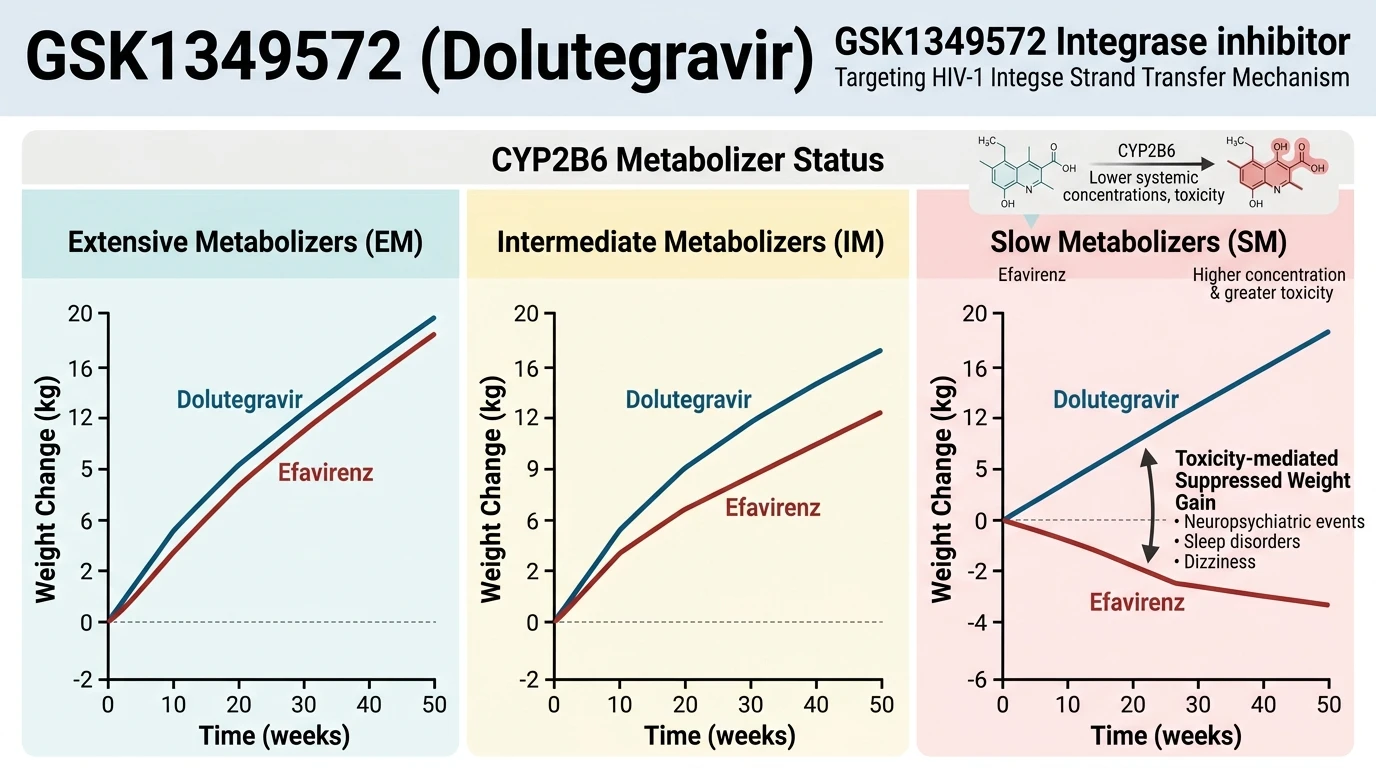 Schematic illustration of HIV-1 integrase strand transfer pathway showing enzyme active site inhibition